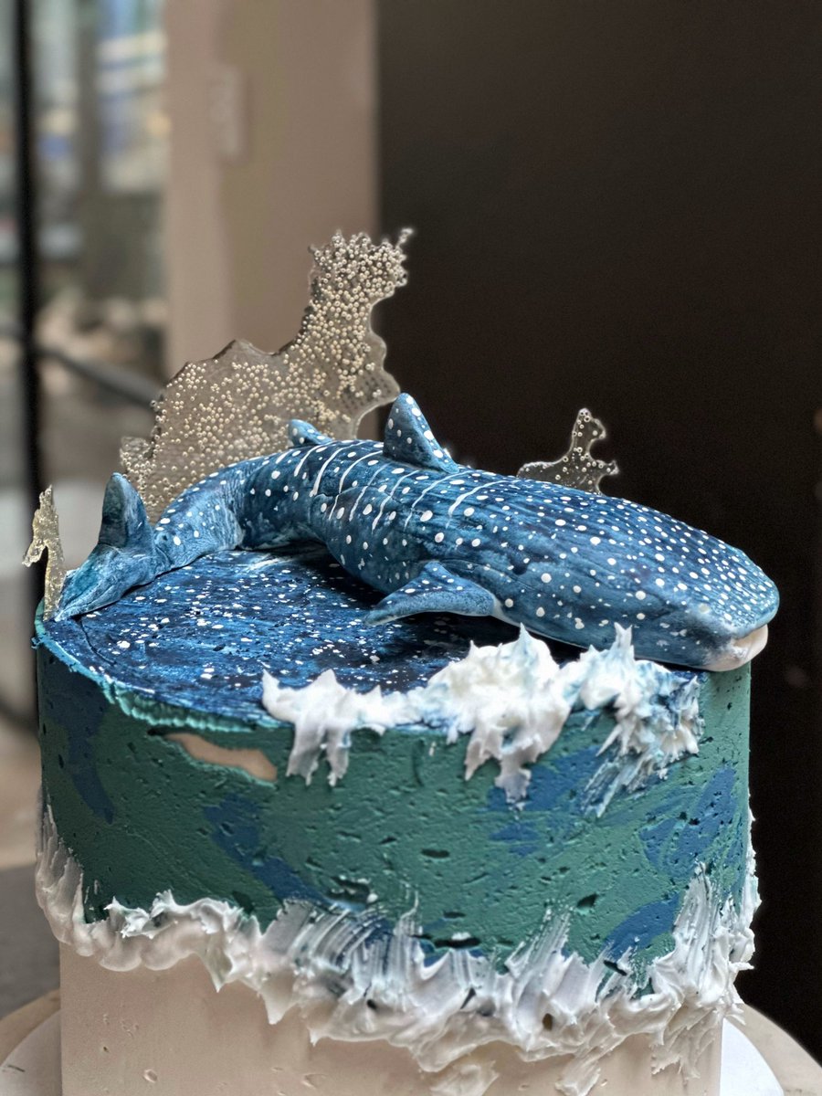 sashimimimi's tweet photo. Whale shark cake! 

Devil’s food cake, dark chocolate ganache, rum-soaked raisins, salted butter caramel, smoked salt, pistachio praline and vanilla buttercream. And a whale shark I hand made and painted from sugarpaste and white food colour and edible isomalt splish splashes. 💦 https://t.co/ykOePQFOlS