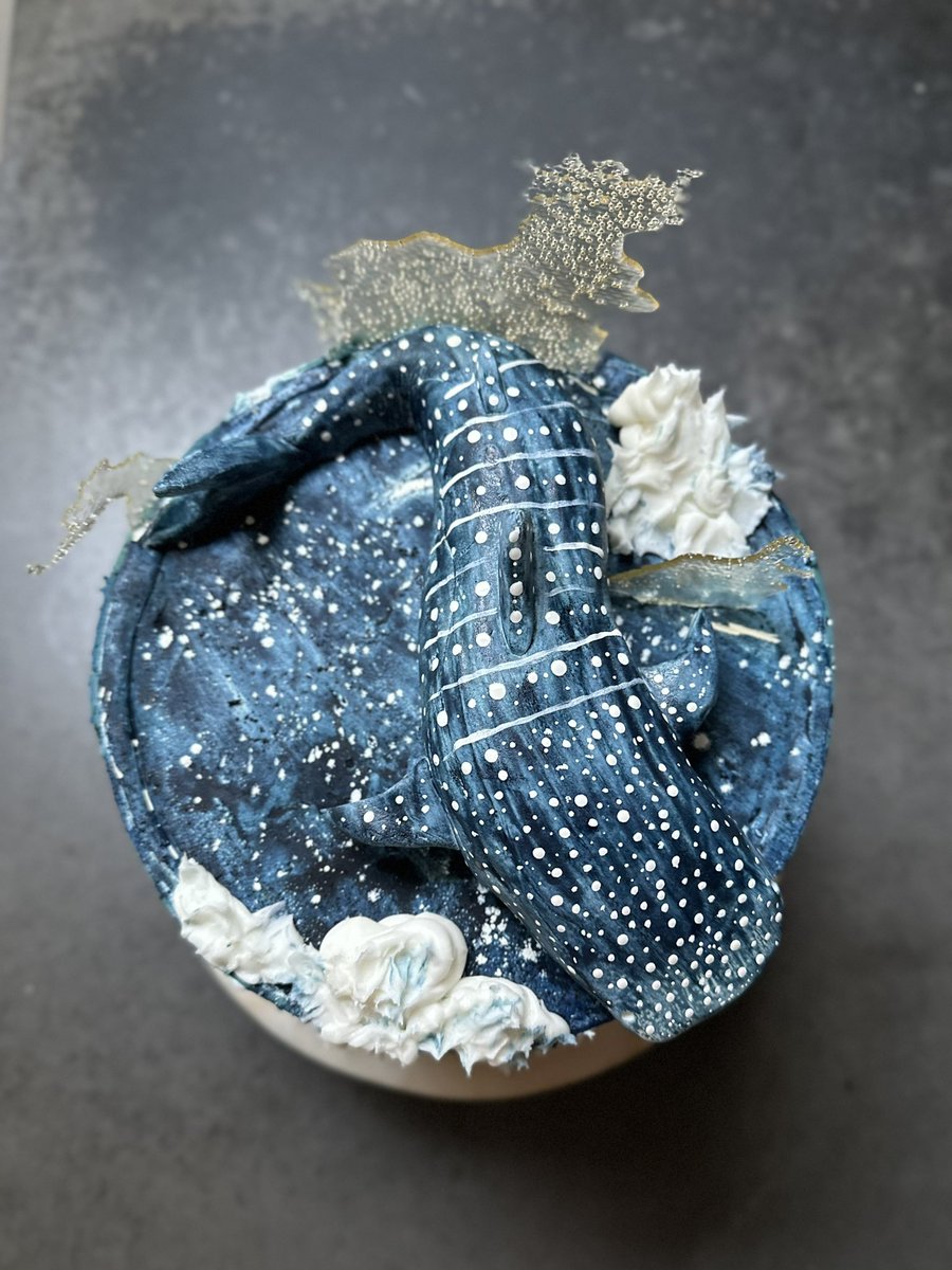 sashimimimi's tweet photo. Whale shark cake! 

Devil’s food cake, dark chocolate ganache, rum-soaked raisins, salted butter caramel, smoked salt, pistachio praline and vanilla buttercream. And a whale shark I hand made and painted from sugarpaste and white food colour and edible isomalt splish splashes. 💦 https://t.co/ykOePQFOlS