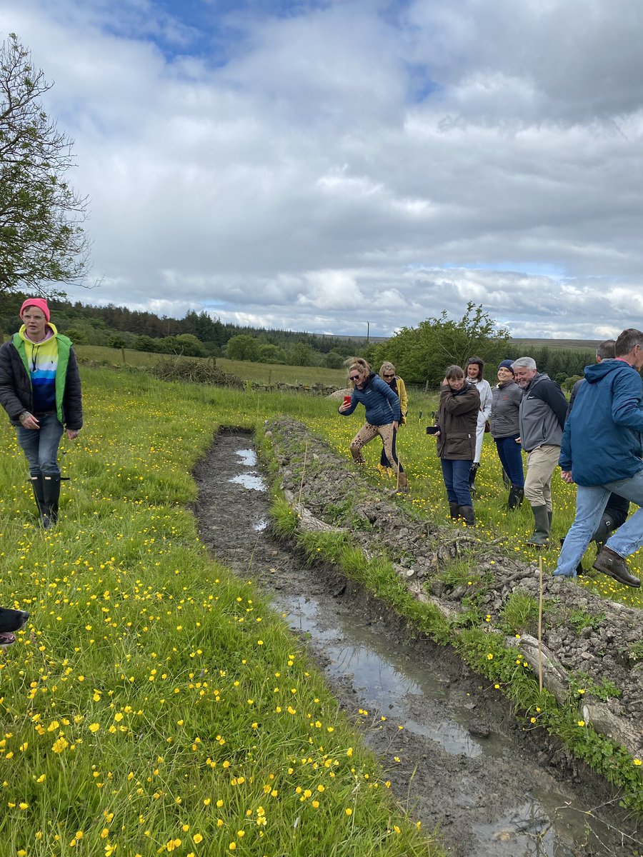 sixinchessoil's tweet photo. With @annarachjackson & @AliMorpe up in #otley #Yorkshire at #biohub #regen farm with #drvincentwalsh - busing our 🧠 talking #biosphere #ecosystemdesign #resilience #agoforestry #swales #diversity https://t.co/DV06qKBhHC