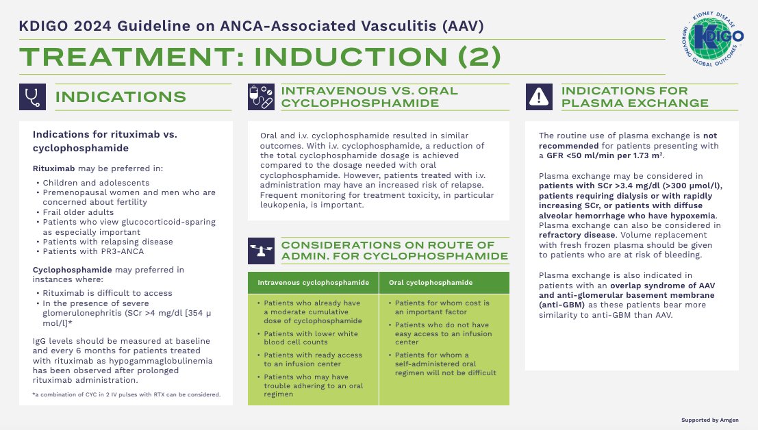 S.E.N. Nefrología tweet media