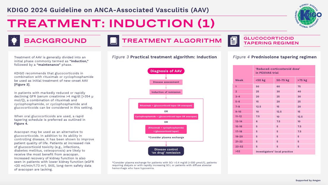 S.E.N. Nefrología tweet media