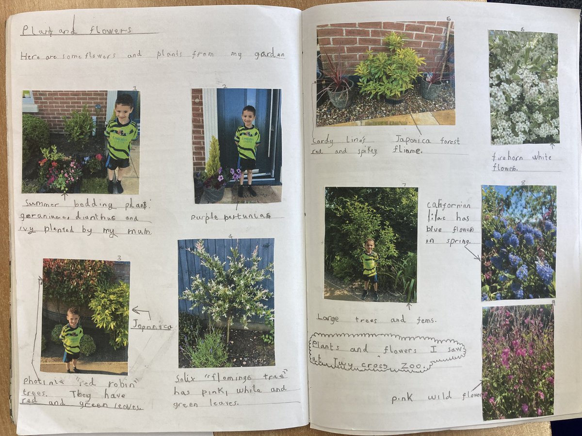 latimerprimary's tweet photo. Wow! #ClassKB has taken pride in completing their homework all about common plants. Lovely to see that you have labelled or wrote sentences to match your photos. #latimercares #takingpride https://t.co/37cog56XKx