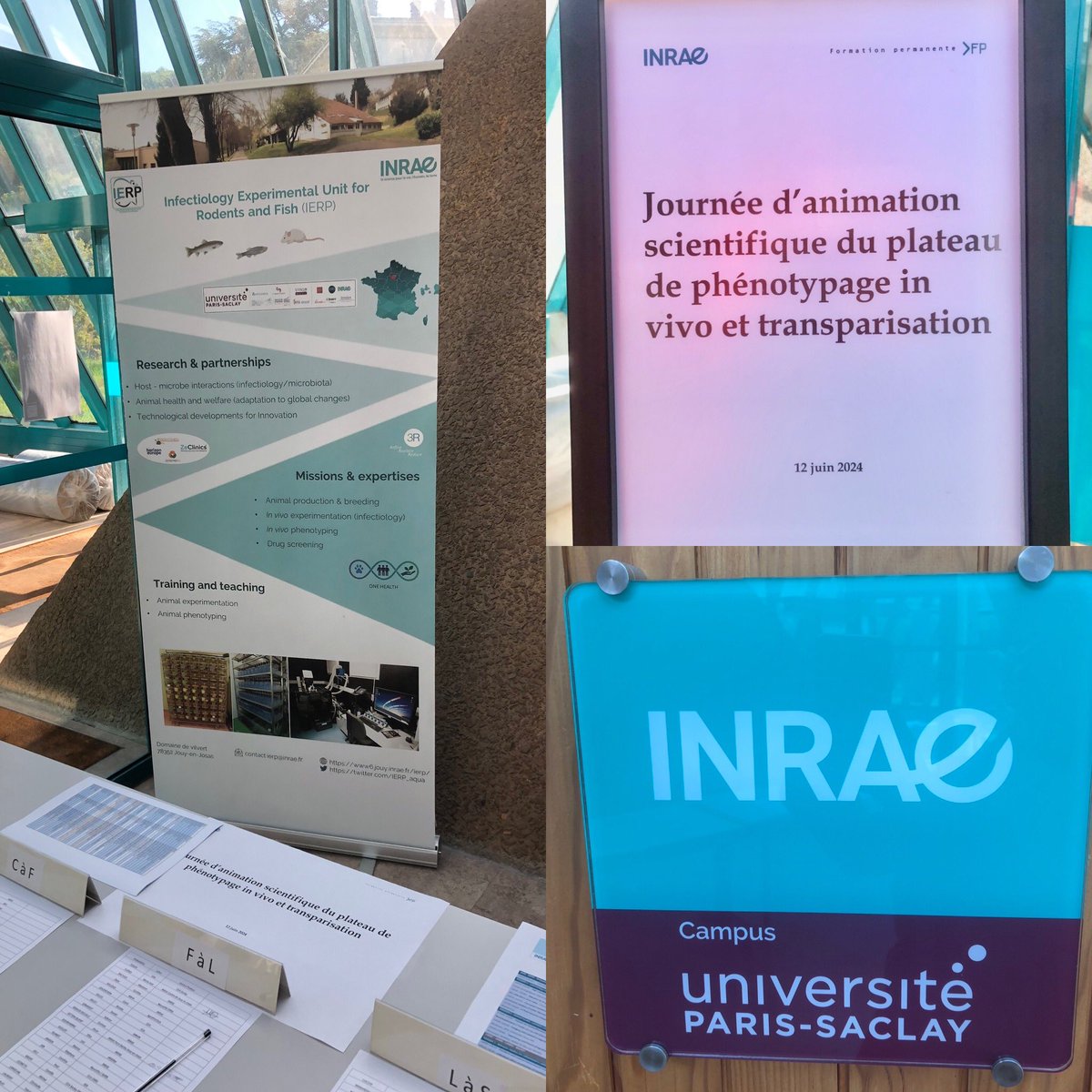 La 2nd journée d’animation du plateau de phénotypage d’ <a href="/IERP_aqua/">IERP_aqua</a> sont lancées! <a href="/INRAE_DPT_SA/">INRAE Santé Animale</a> <a href="/UnivParisSaclay/">Université Paris-Saclay</a> <a href="/in_emerg/">Infrastructure EMERG'IN</a> <a href="/UnionBiometrica/">UnionBiometrica</a> <a href="/ViewpointBehav/">ViewPoint Behavior Technology</a>