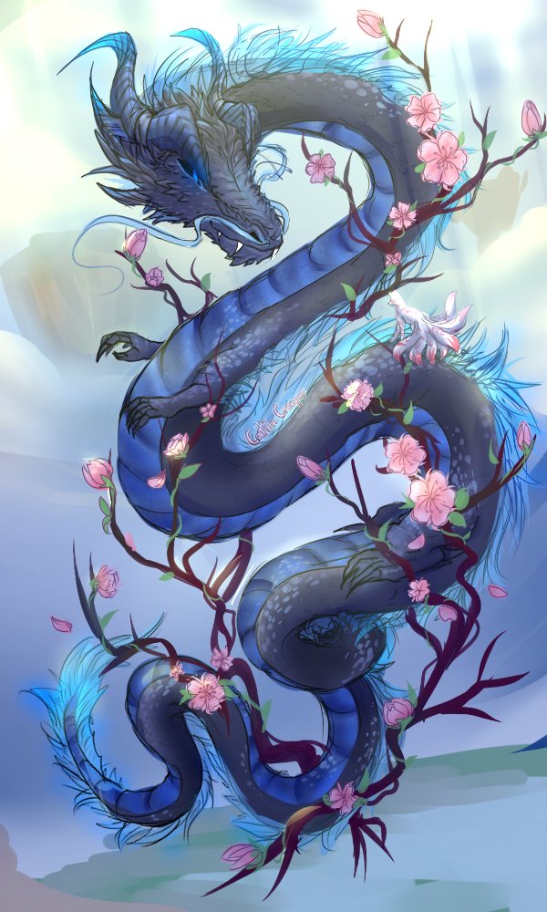 i should really post more often, looks like im ded lol 

have some dragon drawings <3