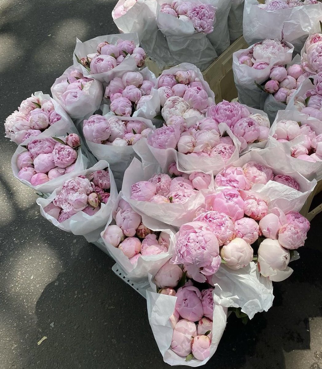 Peony season