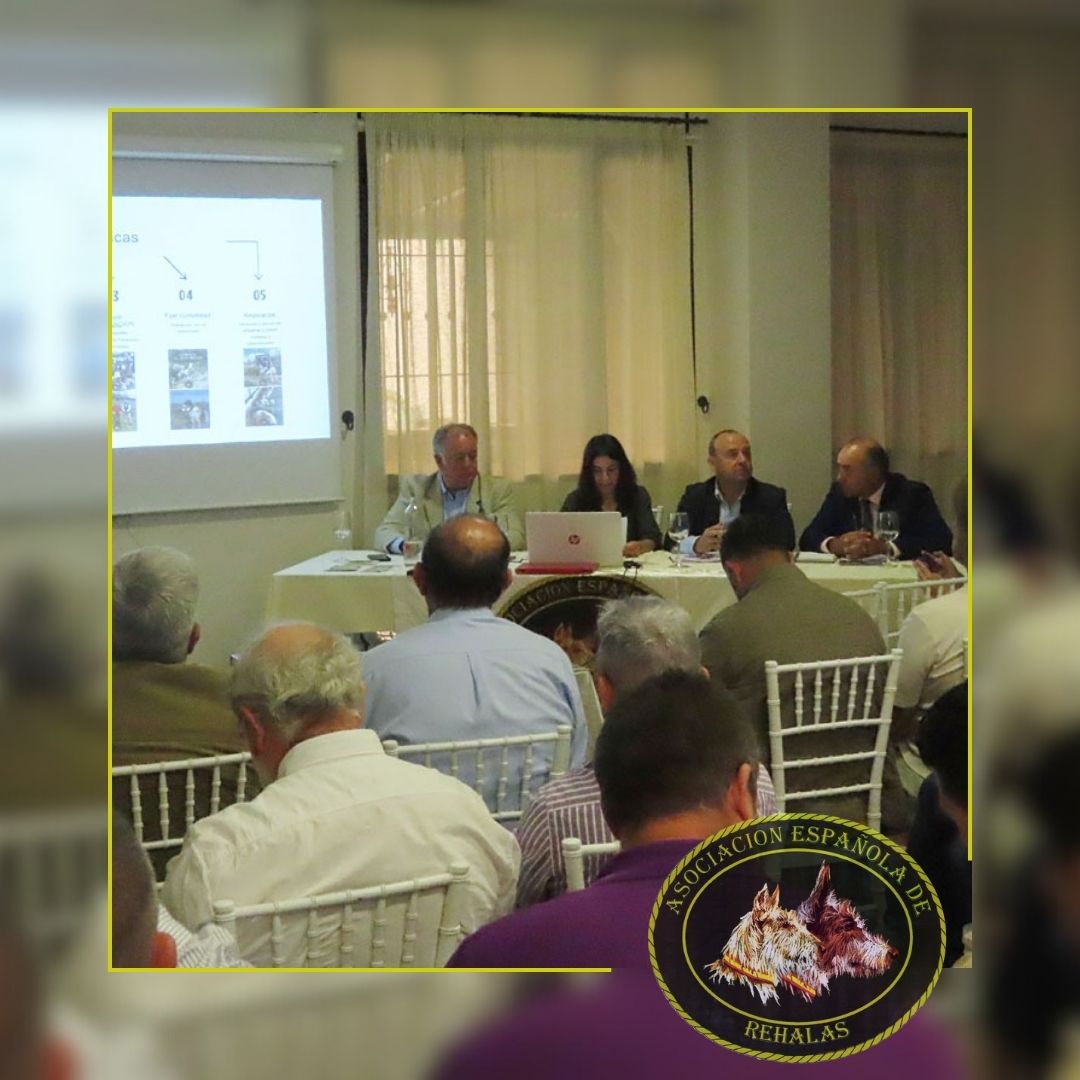aer_rehalas's tweet photo. 🐶La AER celebró su asamblea general y entrega de premios en Antequera, con la asistencia de socios y simpatizantes.
#caza #perrosdecaza #rehala #rehalas #rehaleros #monteria #cazadores #miperroesdecaza #cazaconperros #Antequera #premiosAER @f_artemisan @juvenex @RasherSeguros https://t.co/fl3PZyXJw3