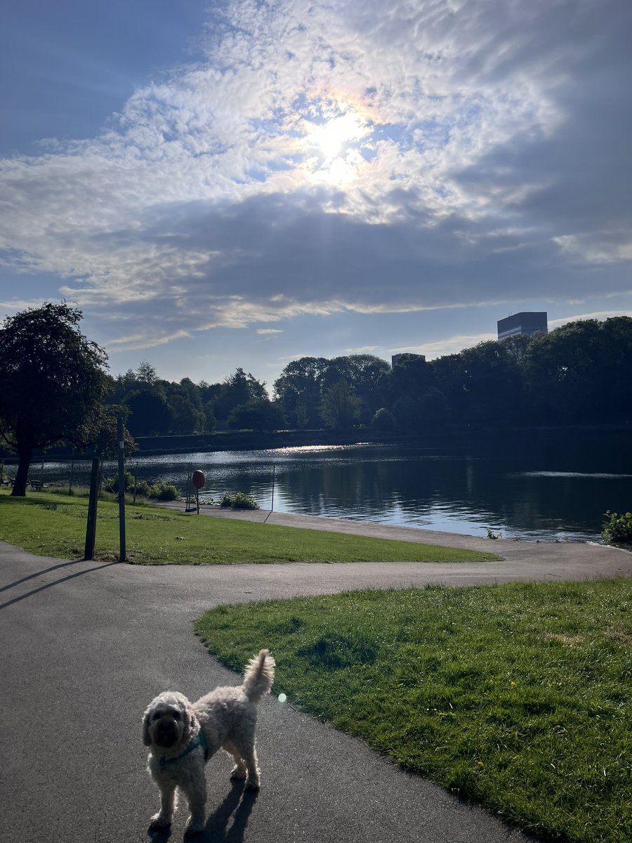 The countdown is on! 4 weeks until we welcome you to the #greencity for #BRS2024 3 days packed with workshops &amp; latest updates on musculoskeletal health Make sure you’re registered boneresearchsociety.org/meeting/brs202…