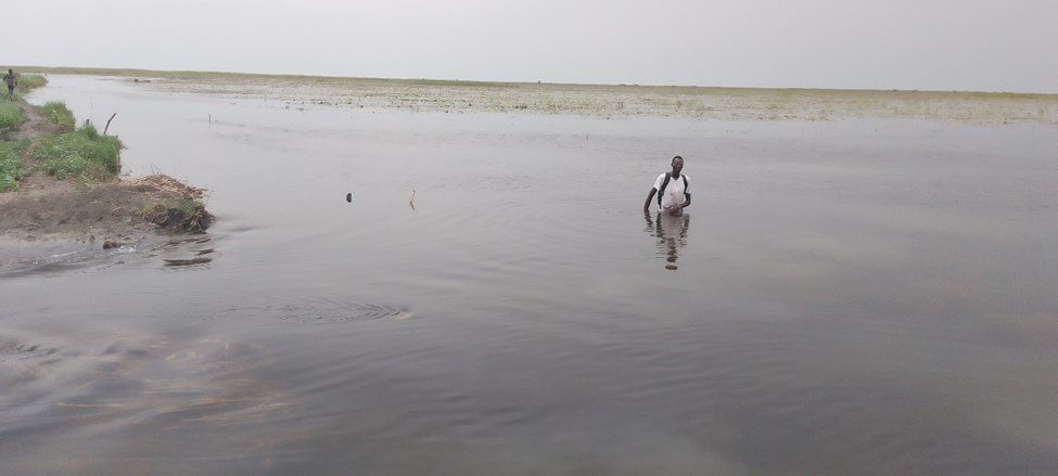 Rural Water and Sanitation Support Agency tweet media