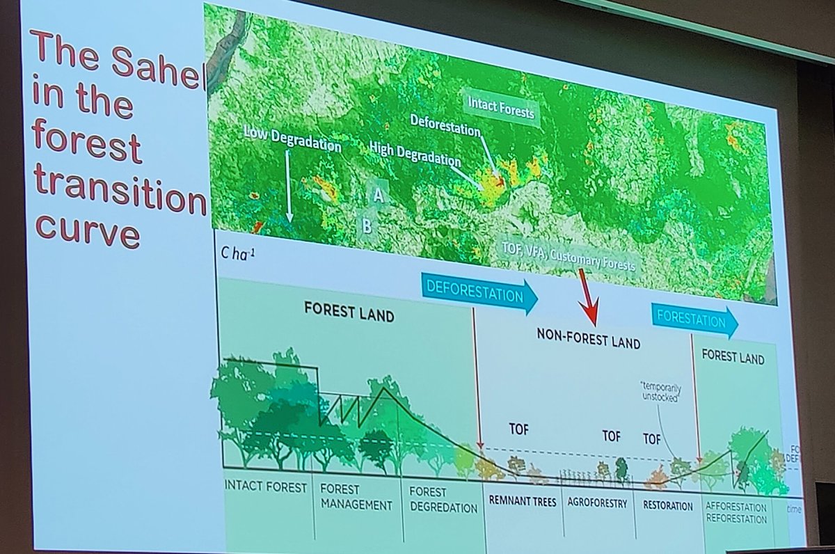 Sarah Holliday (@smgholliday) on Twitter photo The Sahel has become a net carbon sink since the 1980s because of bringing back traditional agroforestry practices. But policies don't recognise the value of these as #naturebasedsolutions. A powerful talk from Chekh Mbow <a href="/WWCS_summit/">What Works Climate Solutions Summit</a>
nature.com/articles/s4155โฆ The Sahel has become a net carbon sink since the 1980s because of bringing back traditional agroforestry practices. But policies don't recognise the value of these as #naturebasedsolutions. A powerful talk from Chekh Mbow <a href="/WWCS_summit/">What Works Climate Solutions Summit</a>
nature.com/articles/s4155โฆ