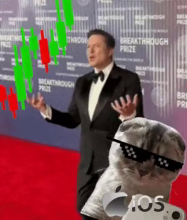 <a href="/Cobratate/">Andrew Tate</a> Icat trading memecoins whilst enjoying the new IOS18 

Dex tried to mess us up but we running this back up turbo! 🐱📲

vF1U8RYyDnjNRdtV5KmTVBo1pvAdnuiD8JD9Tnopump