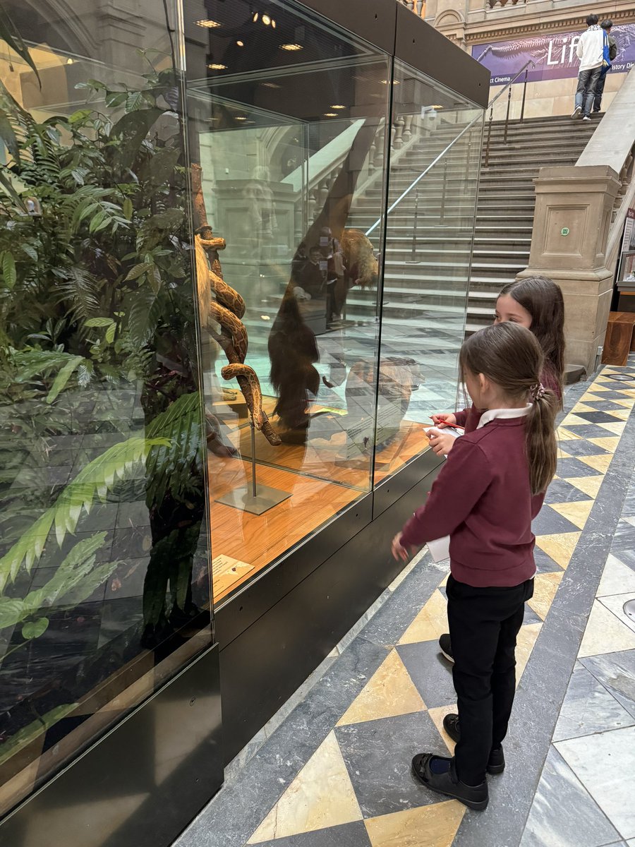 We loved looking at all the animals and even found some that live in Egypt. 🐊🦒🐘