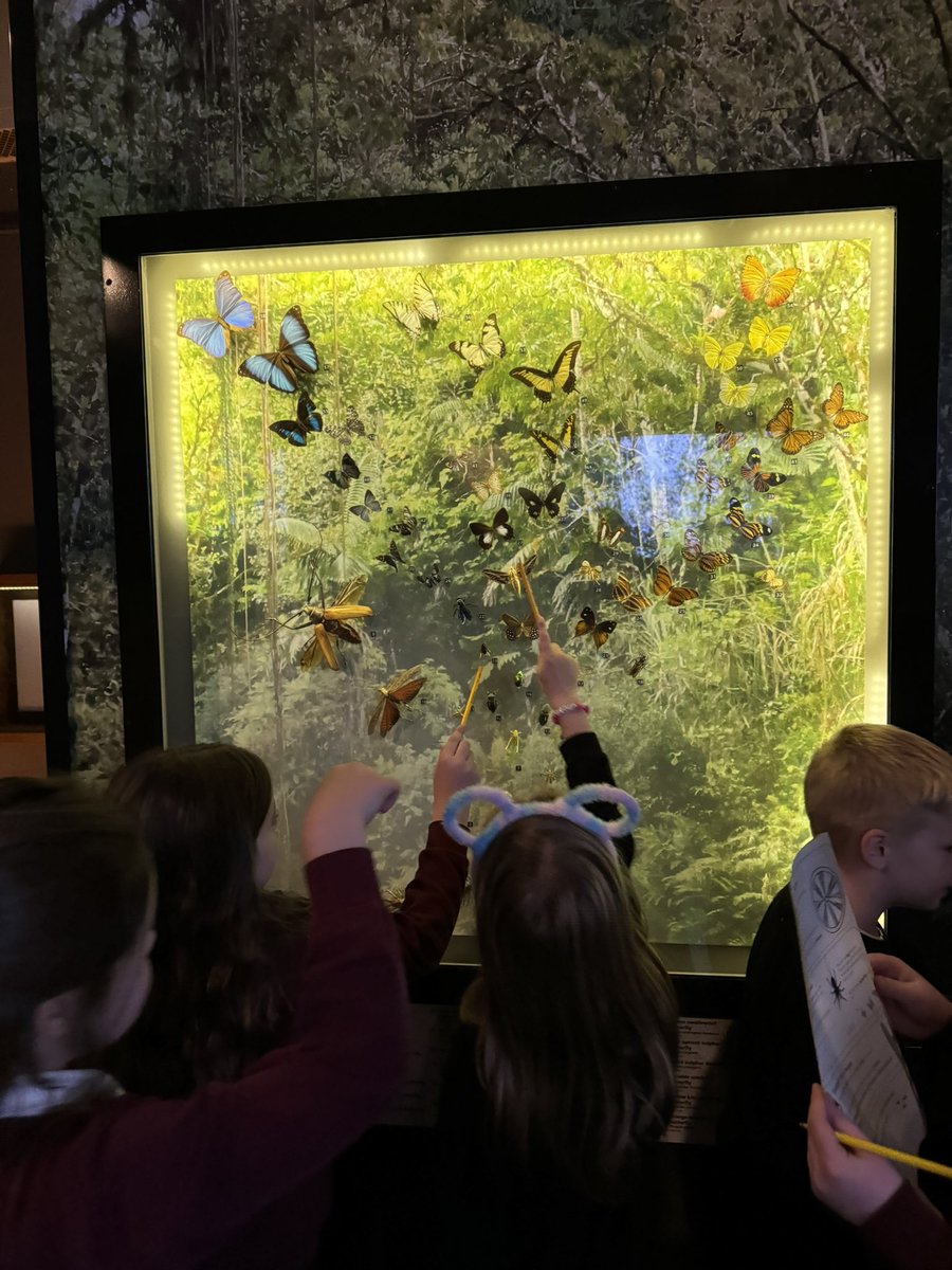 P3W and Miss Richards tweet media