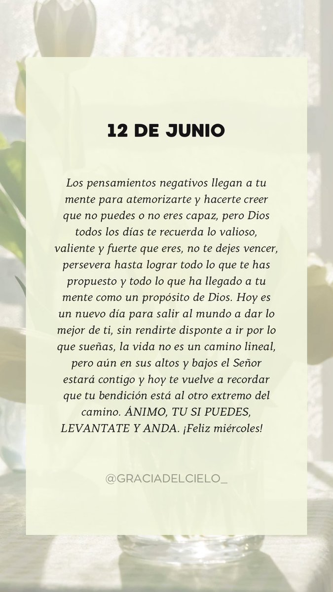 GraciadelCielo_'s tweet photo. No te dejes atemorizar, recuerda que todo lo puedes en Cristo que te fortalece ✨🦋🙏🏽 https://t.co/MYcUBDFZkh