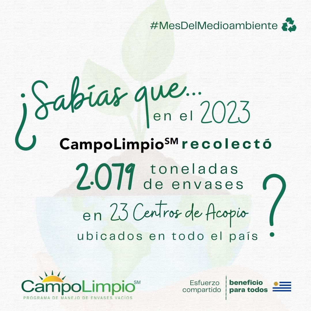 CampoLimpio Uruguay tweet media