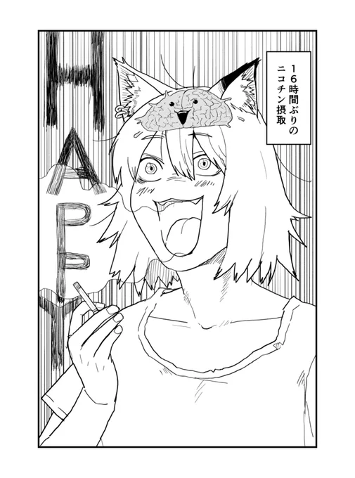 (2/2) 