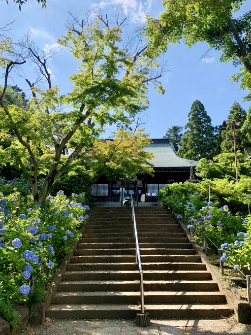 癒されに行ってきた💠 