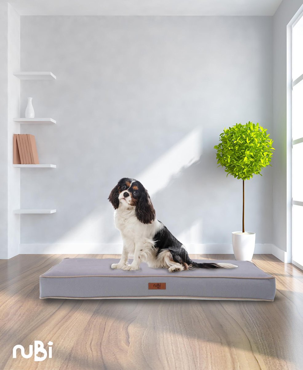 Paco Yatak;
🐶Kedi ve köpek tırmalamalarına karşı yüksek dayanıklılık gösteren özel kumaştan üretilmiştir.
🐶Kumaş özellikleri bio içerikli akıllı teknoloji ile üretilen kumaştır.
🐶Temizlemesi zor inatçı lekelerde dahi sadece su kullanarak temizlenebilir. 
  #PacoYatak