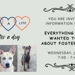 Photo by Etobicoke Humane Soc (@EtobHumaneSoc)