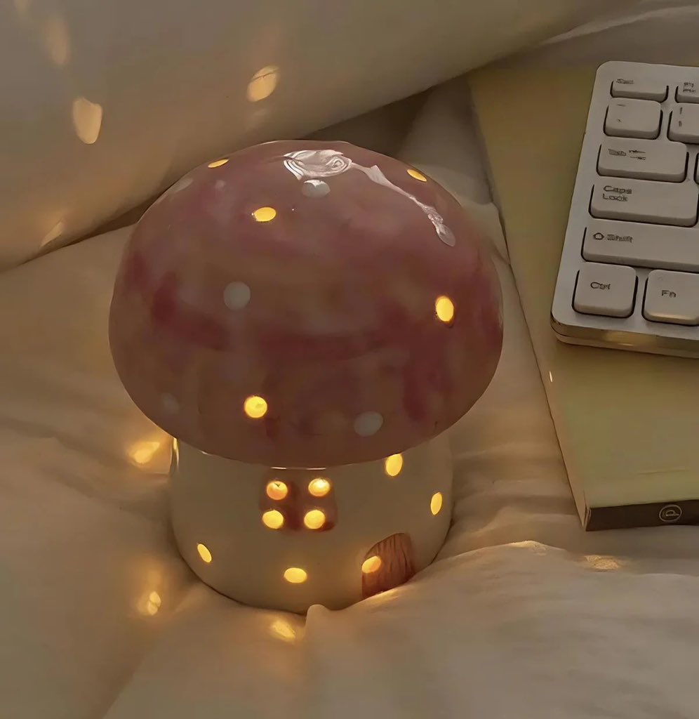 Mushroom house light 🍄