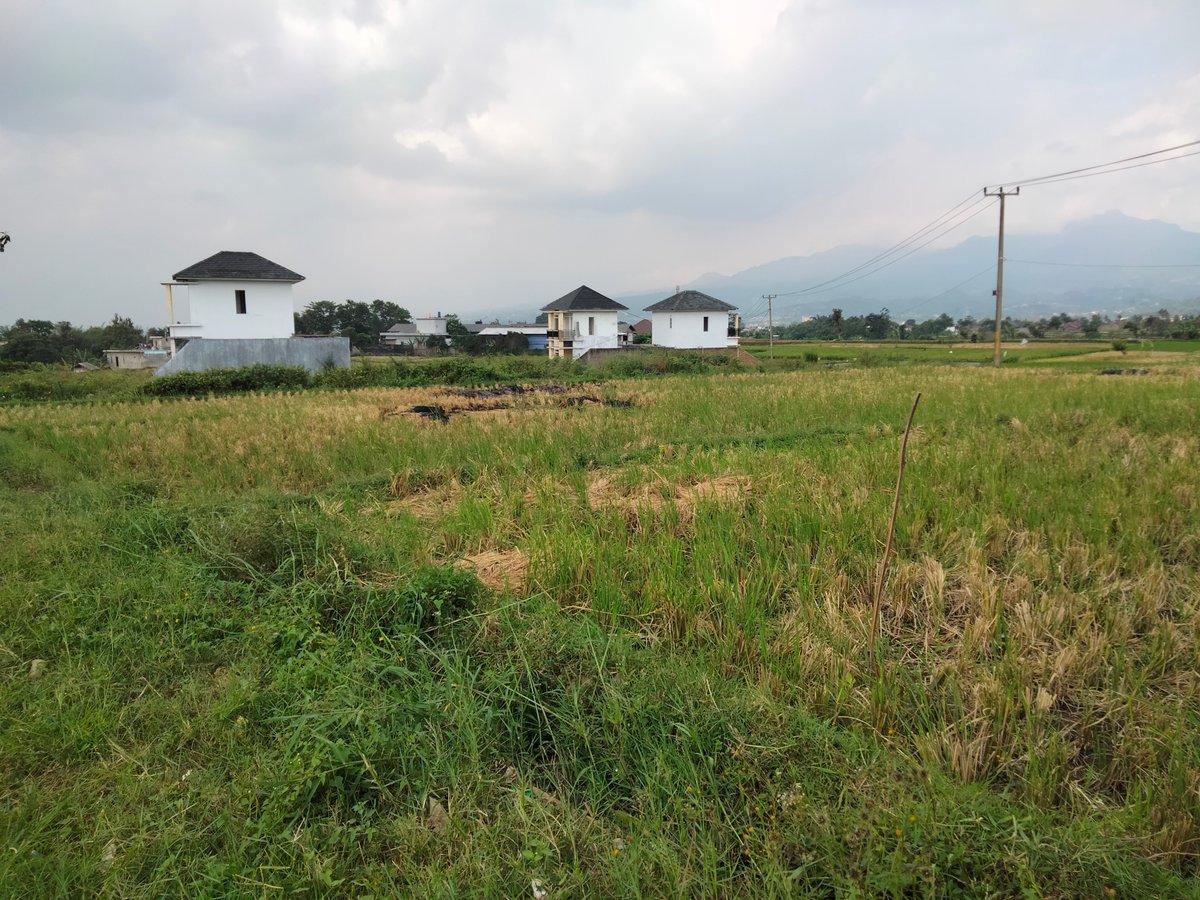 Garutlogistic's tweet photo. Ayo yang minat beli #tanah daerah #Garut silahkan merapat. Hub. 0853-2190-5869 https://t.co/Xg0nQdoKjZ