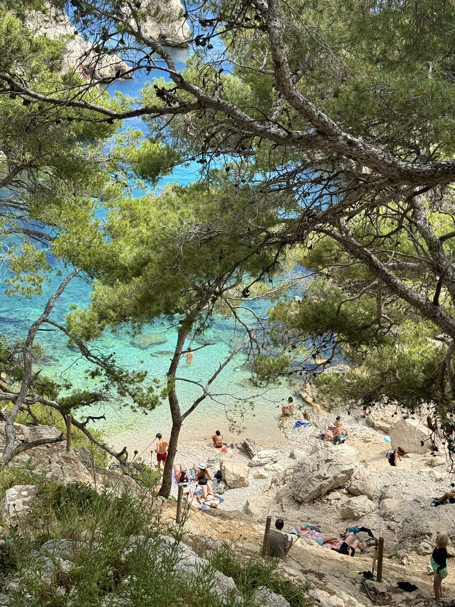 DrBradBrad's tweet photo. Lab lunch breaks when the calanques are on your doorstep 🌊🐠🧗‍♀️ 30 mins hike from @MIOceanologie 🤩 https://t.co/xHlzayonyu
