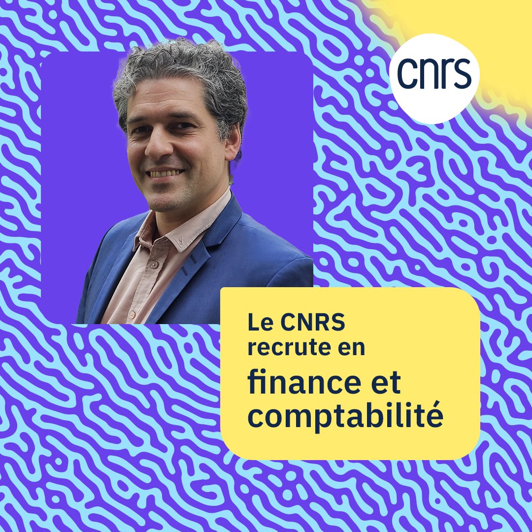 CNRS Alsace (@cnrs_alsace) on Twitter photo #RejoignezleCNRS La délégation du <a href="/CNRS_Alsace/">CNRS Alsace</a> recrute 1 Chargé-e du contrôle de gestion, d'études et d'évaluation à #Strasbourg #CampusCNRSCronenbourg
Fiche de poste ▶️ bit.ly/4cgil4f
Site national des concours ▶️ carrieres.cnrs.fr/concours-exter… #RejoignezleCNRS La délégation du <a href="/CNRS_Alsace/">CNRS Alsace</a> recrute 1 Chargé-e du contrôle de gestion, d'études et d'évaluation à #Strasbourg #CampusCNRSCronenbourg
Fiche de poste ▶️ bit.ly/4cgil4f
Site national des concours ▶️ carrieres.cnrs.fr/concours-exter…