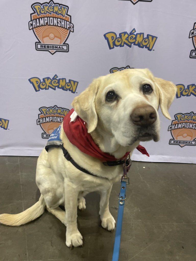 Jules 🔜 Orlando tweet media