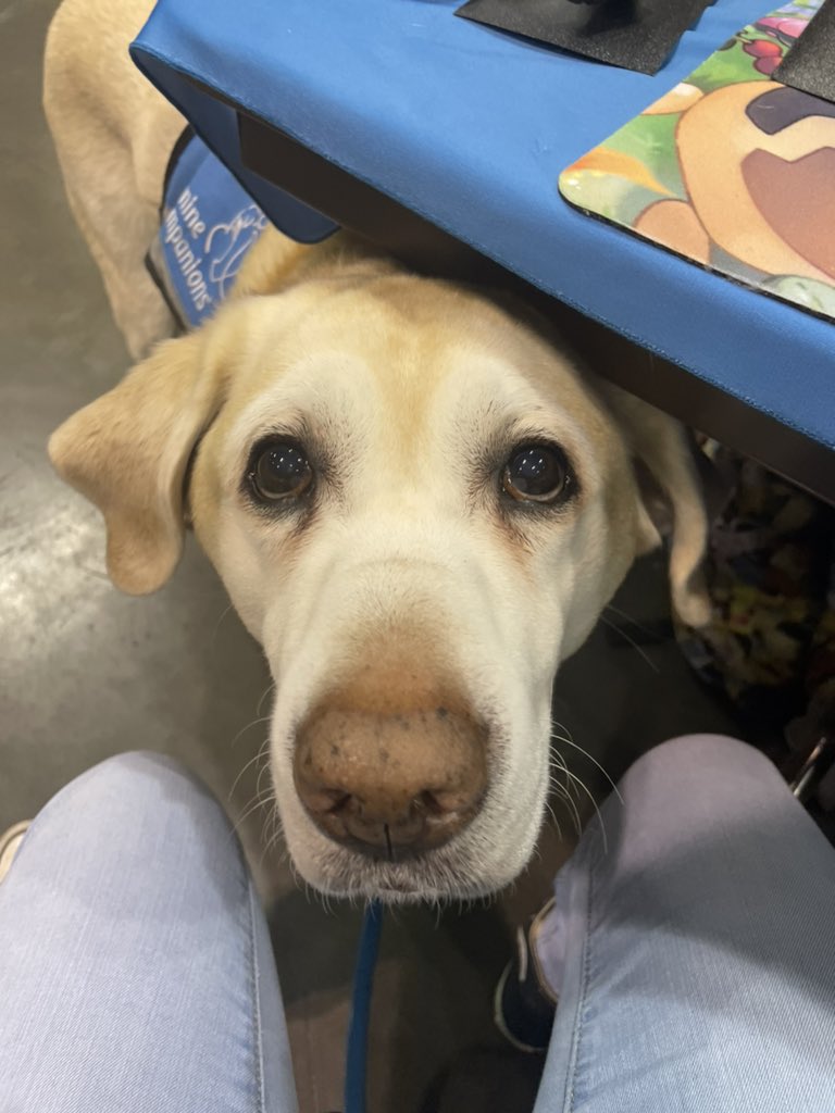 Jules 🔜 Orlando tweet media