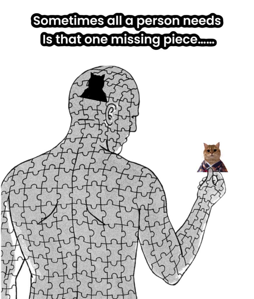 $COK is the missing piece. 🐈👘🧩