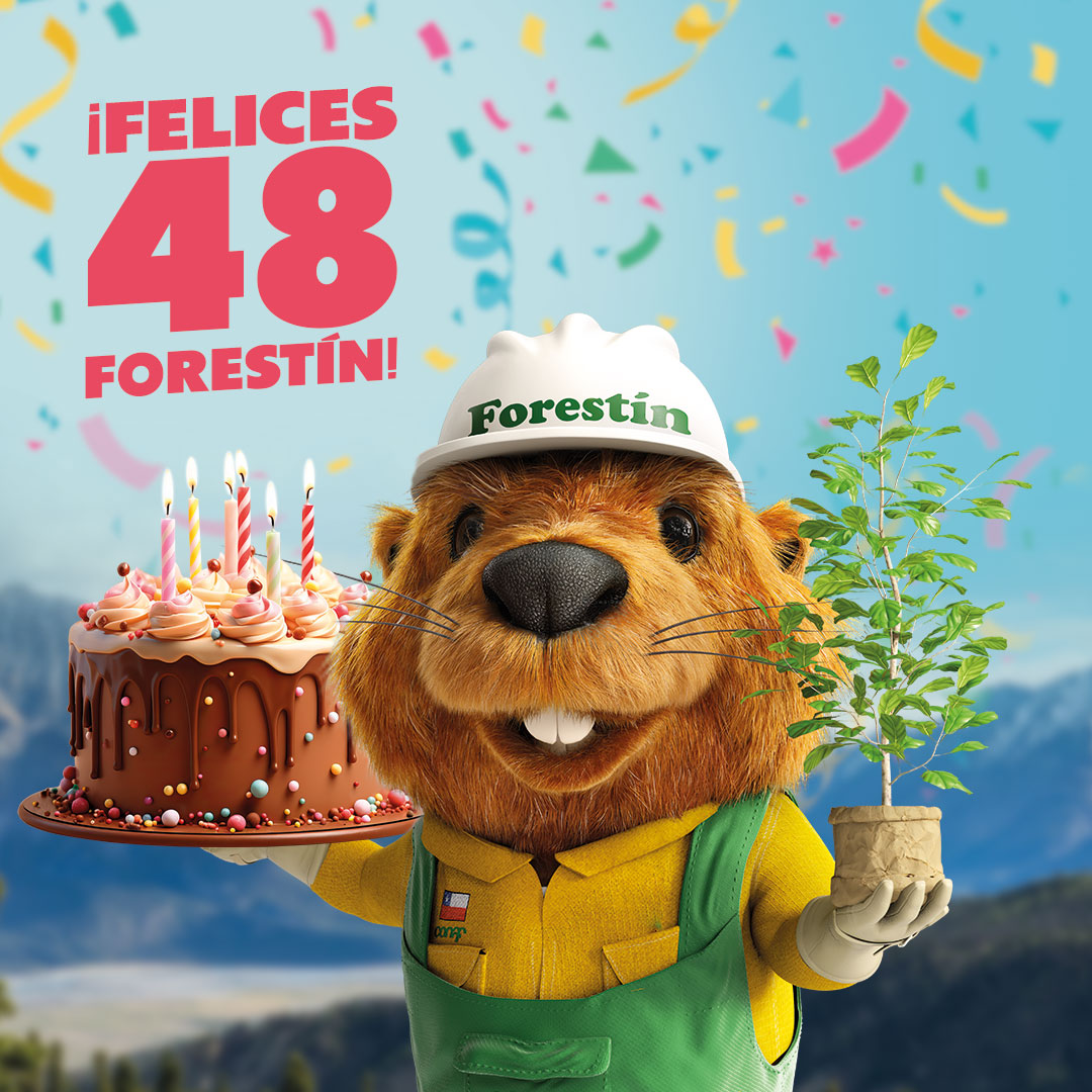 Forestín tweet media