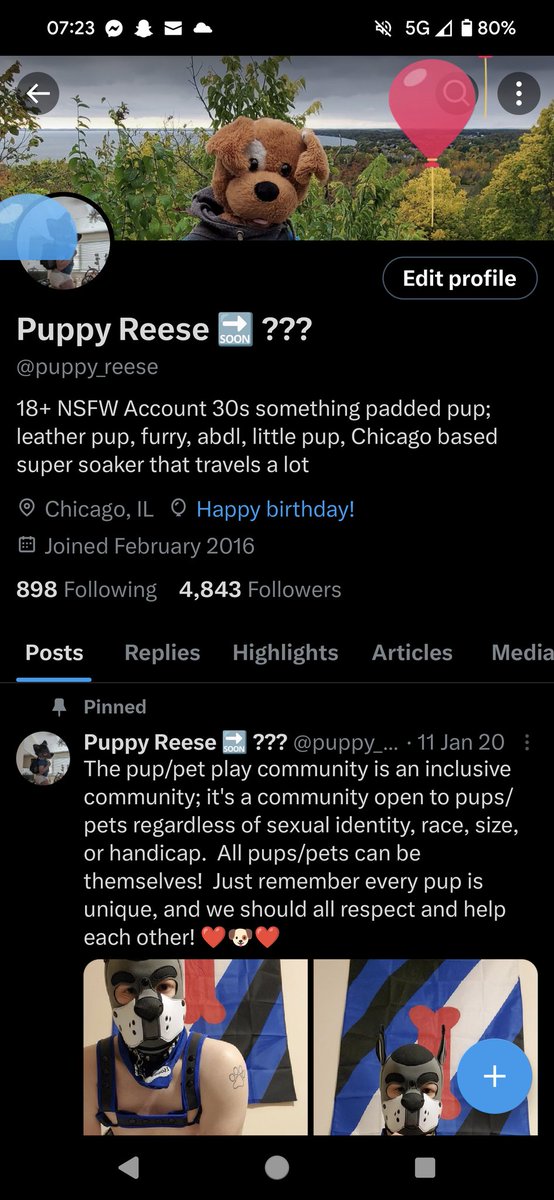 puppy_reese's tweet photo. Eeeep bloooons!  Does this mean I can have breakfast in bed? https://t.co/poLs3HS6Pa
