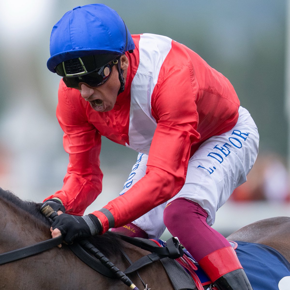 Racing Post tweet media