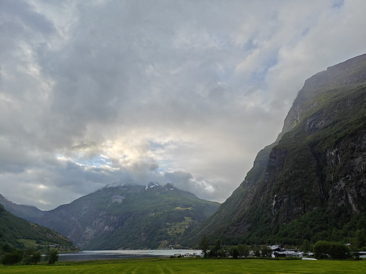 Sofie Lautrup tweet media