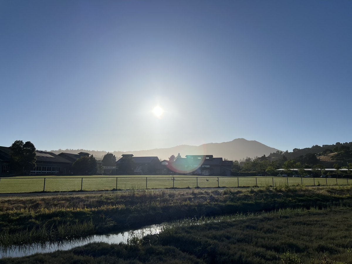 gm ☀️ Know what’s free, requires zero talent, and has a massive impact … ? Having a Positive Attitude 🫶