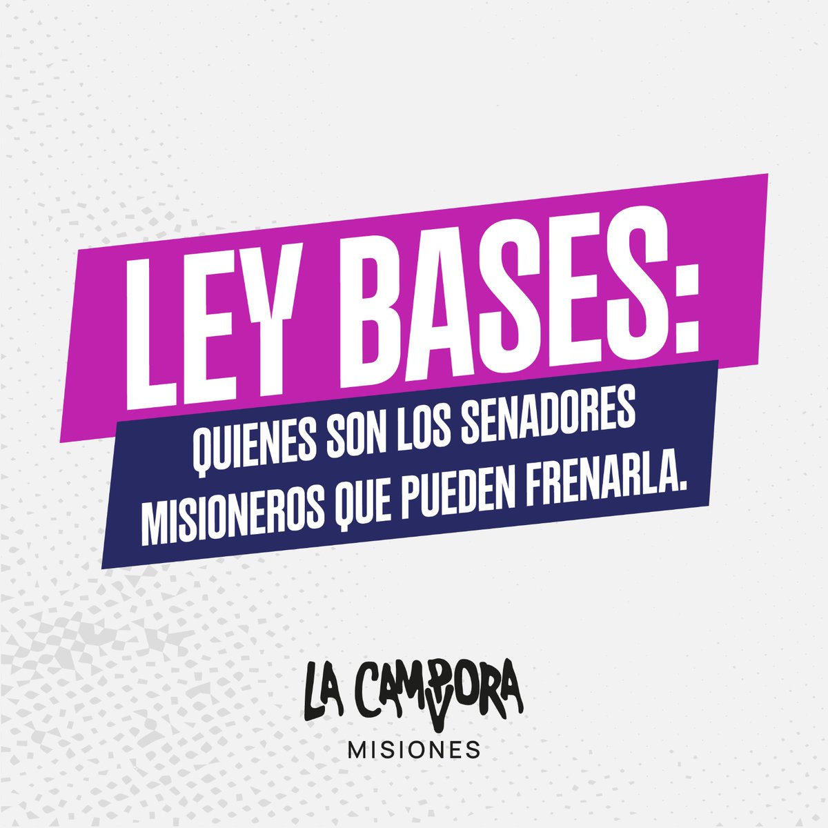 MisionesCampora's tweet photo. Los senadores misioneros que ingresaron con la boleta de Unión por la Patria tienen el deber de responder al pueblo que los votó: quienes no eligieron el proyecto de Milei.

Debemos frenar la Ley Bases.— 🇦🇷 https://t.co/5zG8fokOul