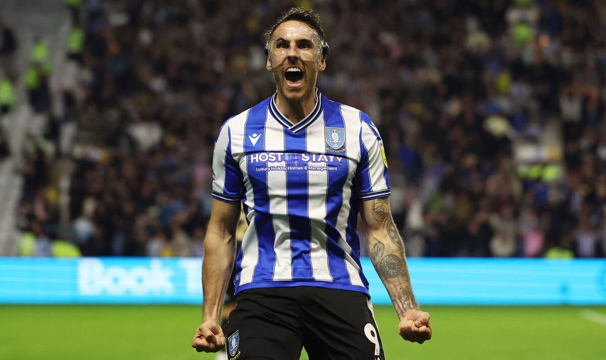 SWFCeveryday's tweet image. No 834 - Lee Gregory. The Sheffield born striker played for Staveley Miners Welfare before being picked up by Mansfield. After spells with Halifax, Millwall, Stoke and Derby he joined #SWFC. He scored 29 vital goals in 101 games between 2022 and 2024. He’s now back at Mansfield.