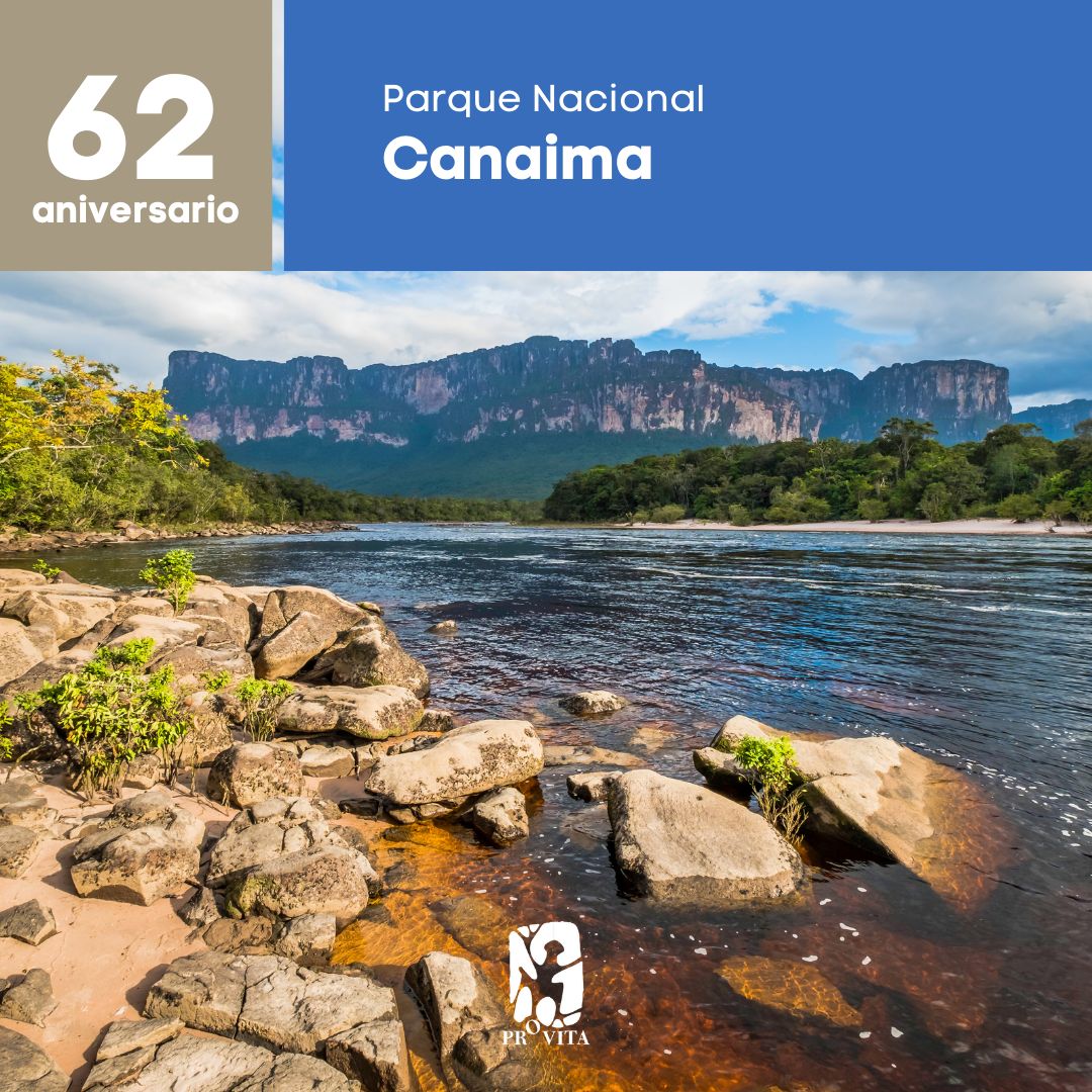 ¡Celebramos 62 años del Parque Nacional #Canaima! 🎉🇻🇪

Ubicado en el sureste de Venezuela, este parque es una joya natural que se extiende por más de 30.000 km², siendo uno de los parques más grandes del país