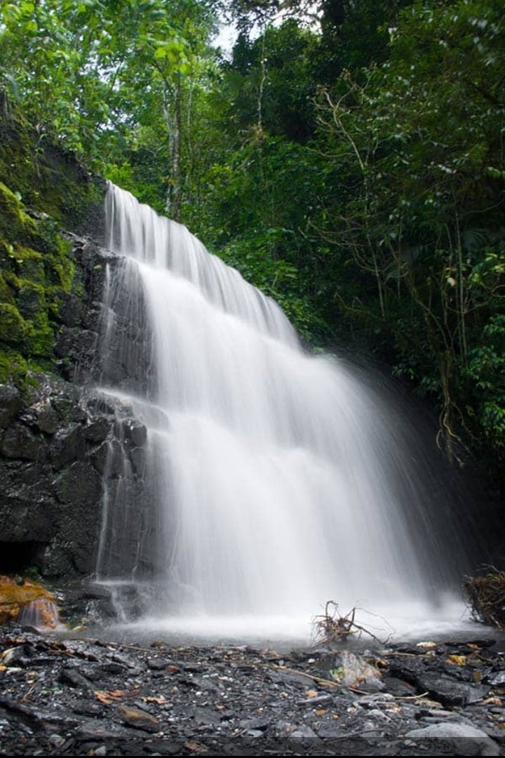 El Nombre del Parque Nacional Yacambú es un homenaje a un antiguo territorio indígena del pueblo Jirajara. Se encuentra ubicado al sur del Estado Lara al Suroeste de Barquisimeto en la region Centro Occidental de Venezuela, creado el 12 de junio de 1962.

Hoy  62 Aniversario