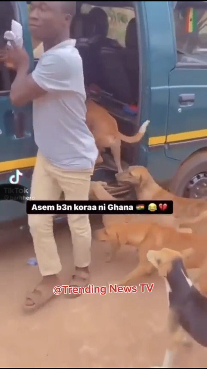 trendingnew360's tweet photo. Wahala indeed! 🤯 Unbelievable scenes in Ghana as dogs occupy public transport, leaving passengers in disarray! Watch the shocking video and share your thoughts! Is this a sign of something bigger?
https://t.co/hRiuZI4vdB
#Ghana #DogsTakeOver #PublicTransport https://t.co/aGwa1vPAVo
