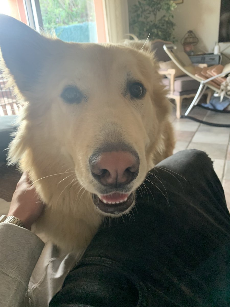 GAMEDAY

Semifinales vs <a href="/TeamGalaga/">Team Galaga</a> a las 17:00

<a href="/SuzakuEsports/">SZK Esports</a>