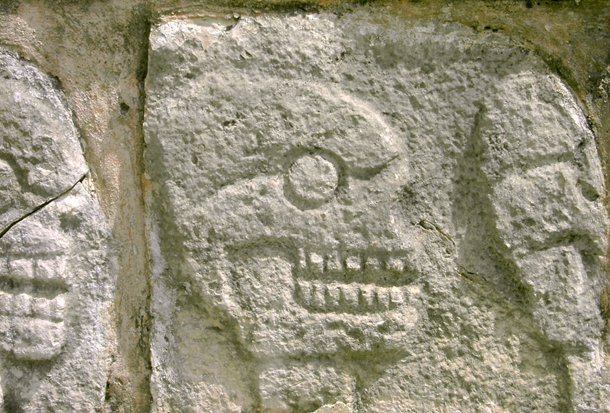 MPI-EVA Leipzig (@mpi_eva_leipzig) on Twitter photo Ancient #Maya genomes reveal ritual human sacrifice at Chichén Itzá. New study by an intl. team, incl. @jrockdrigo, Oana Del Castillo-Chávez <a href="/INAHYucatan/">Centro INAH Yucatán</a>, <a href="/KathrinNaegele/">Kathrin Nägele</a>, Christina Warinner <a href="/WarinnerGroup/">Warinner Group</a> & Johannes Krause. See: tinyurl.com/29sekb4m & nature.com/articles/s4158… Ancient #Maya genomes reveal ritual human sacrifice at Chichén Itzá. New study by an intl. team, incl. @jrockdrigo, Oana Del Castillo-Chávez <a href="/INAHYucatan/">Centro INAH Yucatán</a>, <a href="/KathrinNaegele/">Kathrin Nägele</a>, Christina Warinner <a href="/WarinnerGroup/">Warinner Group</a> & Johannes Krause. See: tinyurl.com/29sekb4m & nature.com/articles/s4158…