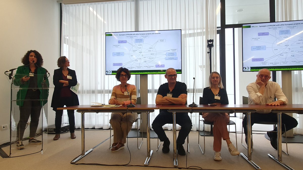 🎯 Session "How does PPILOW connect with the other European initiatives on Animal Health and Welfare?" saw the presentations of <a href="/FrankTuytt47917/">Frank Tuyttens</a>   (<a href="/ILVOvlaanderen/">ILVO</a>), E. BIebaut (<a href="/ugent/">UGent</a> ) A.Boissy <a href="/INRAE_Intl/">INRAE_International</a> &amp; Lea Tourneur from ACTA 🐷🐔

#biosecurity #animalhealth #EUprojects
