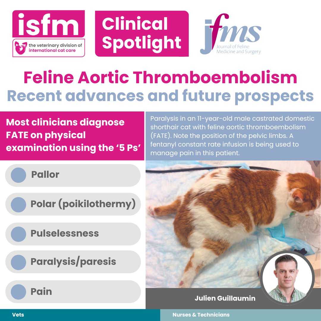 ISFMcats's tweet photo. Discover the 5 Ps of FATE diagnosis in this month’s #ClinicalSpotlight article ‘Feline Aortic Thromboembolism: Recent advances and future prospects’ by Julien Guillaumin 👉
https://t.co/kscMjMXv6A
🎧 Tune in to the next #ISFMchat to hear more from Julien.
#JFMS https://t.co/B3qWB4HYRR