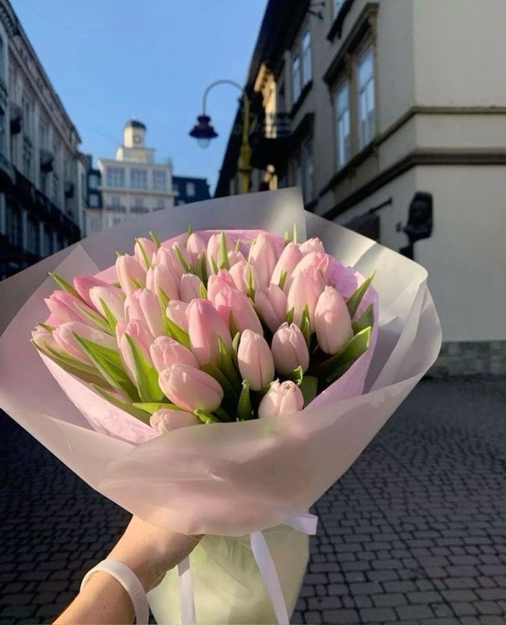 ciceklendirdik's tweet photo. 🌷🌷🌷 https://t.co/XSSzLJc1xE