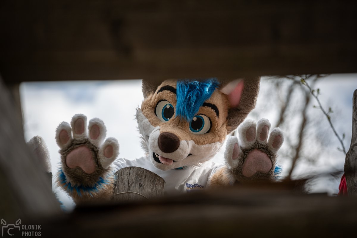 Peekaboo! 👀🐾

📸 <a href="/cloniksphotos/">Clonik</a>