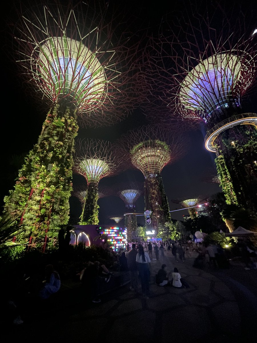 HedgeyeTech's tweet photo. After a long day of meetings, it was good to finally see the #supertree in Singapore #marinabaysands https://t.co/TcAPIuAiFx