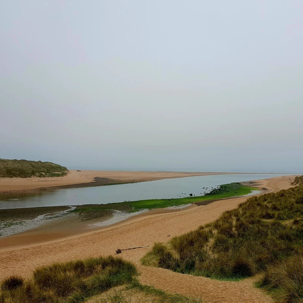 Apartrooms's tweet photo. Newburgh Beach, north of Aberdeen, is popular with our guests.
There's only one seal lurking in these images, but the colony is large and you'll normally see them.
The Cock &amp; Bull is a decent spot for lunch nearby.

Images from IG @philtowns67 @Katerina_Pfeiffer and @peterwood973 https://t.co/07LEUuamu1
