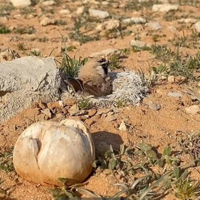#صورة_جديدة_للملف_الشخصي