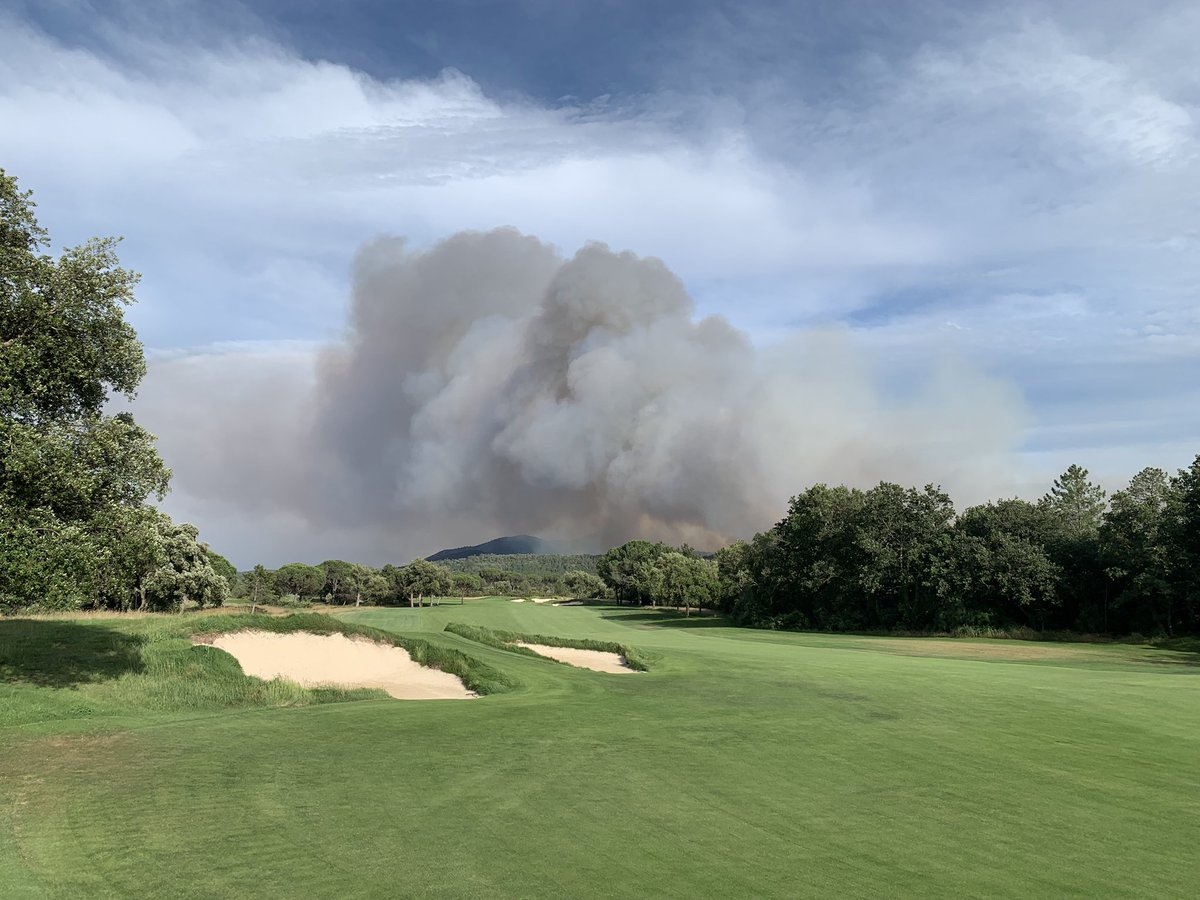 CyprienComoy's tweet photo. some of them from a long distance to combat all night and stop this tragedy! 👩‍🚒 👨‍🚒 🚒 🛩 
We are hoping for a quiet summer now... 🙏#inharmonywithnature #wildfire #hermanntortoise #provence https://t.co/CLvpqBZE7l