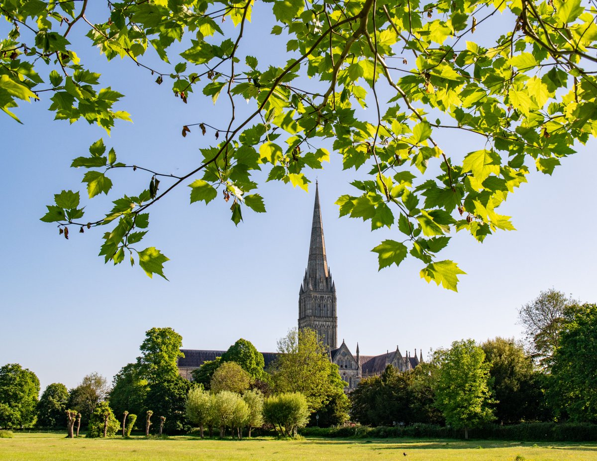 Salisbury Cathedral in the sunshine – what a view!  

📷: Martin Cook